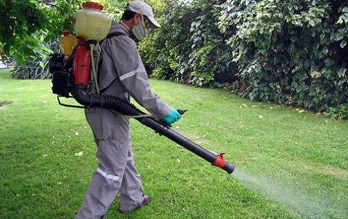 Fumigacion