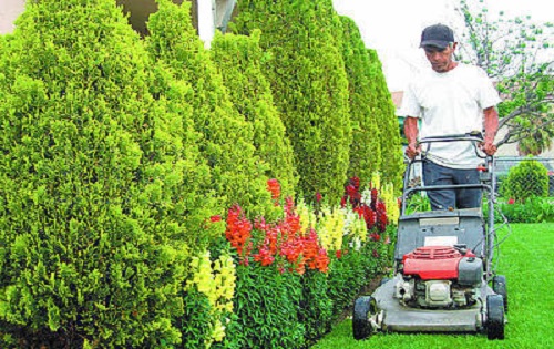 Limpieza de jardines