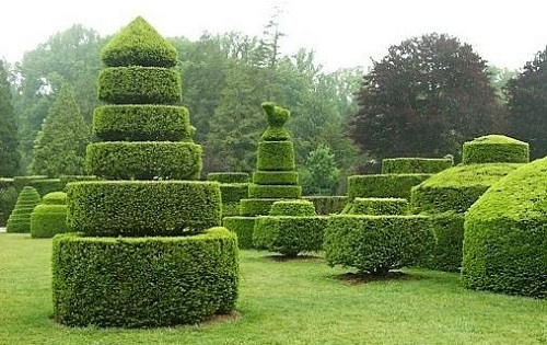 Mantenimiento de jardines